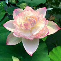 ratana5_buddhism