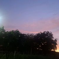 fariaclaude
