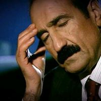 orijinal ses