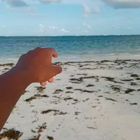 original sound - aep_ray