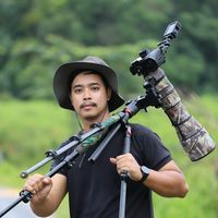 tui_3253