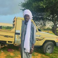 الصوت الأصلي