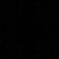 teamnegro2001