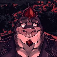shark_ccj