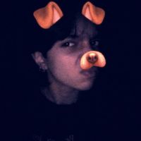ari.aiai