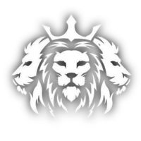 lion.o24
