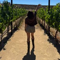 weddingplannerstephanie