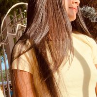 salo_palomino13