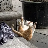 original sound - marmorizzz