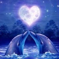 mylove171429