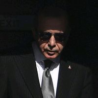 orijinal ses