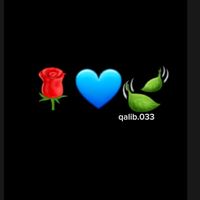 qalib.033