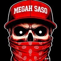 megahsaso743