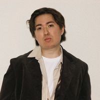 птичка х истеричка