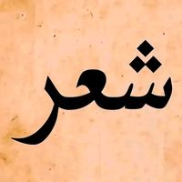 nasirbadawy
