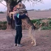 iam_namiq_011
