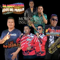 original sound - momosteco.insuperable