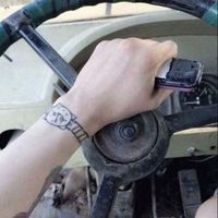 petrovn_5555