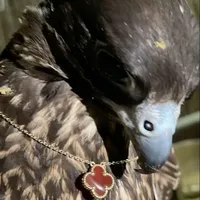 original sound - m3n8oori