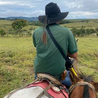 arenas_breiner