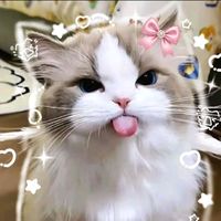 original sound - •|kavithaa160|•