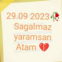 orijinal ses