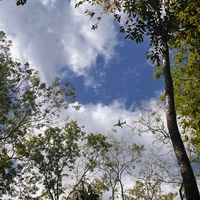 mariposa_7511