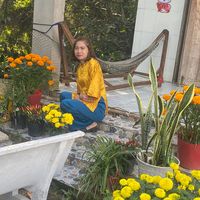nhạc nền - Shophien( ních phụ )