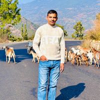 kapilkoirala299