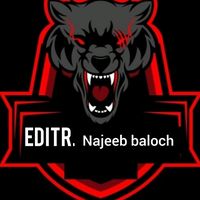 najeebbaloch345