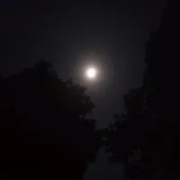 original sound - shaki_lyrics