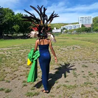 original sound - dii8209