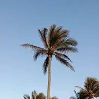 original sound - agsc_music