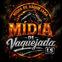 midiadevaquejada