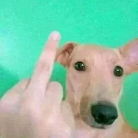 original sound - itss__whooo