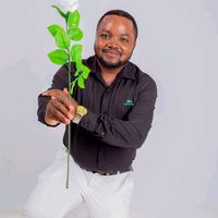 Elombwelo