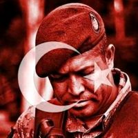 orijinal ses
