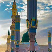hassan7865210