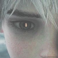 noaman_2753