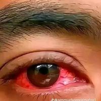 orangzaib.gujjar18