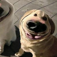 mirajeeeyyy