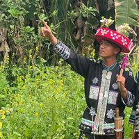 เสียงต้นฉบับ