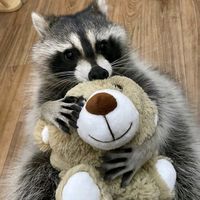 stasedits_