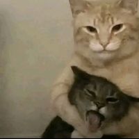 original sound - Kier ♧ Mer1kh 🐦‍⬛