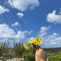 original sound - sha.00.0