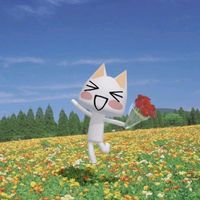 alice5555628241