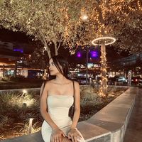 vane_barjs