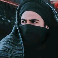 الصوت الأصلي