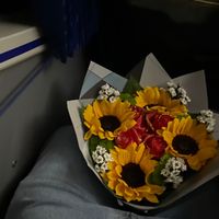 darlin_scd