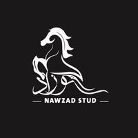 nawzadstud